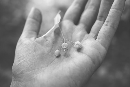 Black-and-white picture of woman's palm with blossom