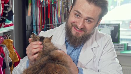 Cheerful veterinarian smiling joyfully, petting adorable cat at his clinic. Cropped shot of a cute healthy kitty cuddling with vet doctor after medical examination. Health, animals conceptの写真素材