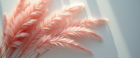 A stunning display of fluffy pink pampas grass creates a serene and dreamy atmosphere, casting gentle shadows on a light surface. This image evokes feelings of tranquility and natural beauty, perfect for enhancing any space with a touch of elegance and warmth.の素材