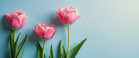 Three stunning pink tulips stand gracefully against a serene blue backdrop, exuding elegance and charm. Their lush petals and vibrant green leaves create a harmonious contrast, inviting feelings of tranquility and beauty.の素材