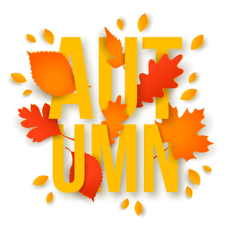 Beautiful autumn background with leaves.のイラスト素材