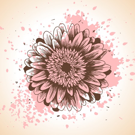 Hand drawn floral background with pink paint splash and gerbera flower. Vector illustration. Vintage backdrop for lovely wedding invitations.のイラスト素材