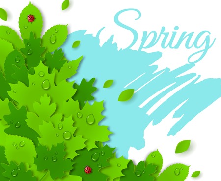 Spring design with green leaves. Spring concept. Vector illustration. Water drops and lady bugs. Dew on leaves.のイラスト素材