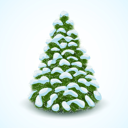 Forest Spruce in Snow Isolated on White Background. Vector illustration.のイラスト素材
