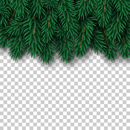 Merry Christmas and Happy New Year winter border with realistic pine tree branches on transparent background. Vector illustration. Xmas frame element for festive poster design.のイラスト素材