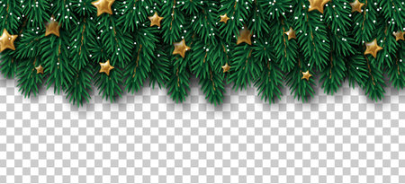 Merry Christmas and Happy New Year winter border with pine tree branches, golden glitter stars and snow on transparent background. Vector illustration. Xmas frame element for card, poster, banner.のイラスト素材