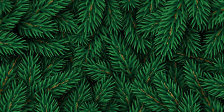 Merry Christmas and Happy New Year winter background with realistic pine tree branches. Vector illustration. Xmas fir backdrop graphic element for festive poster design, holiday voucher wallpaper.のイラスト素材