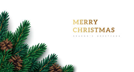 Merry Christmas fir tree branches with brown cones on white background. Vector illustration. Holiday frame border, typography template for poster, flyer, brochure voucher. Place for text.のイラスト素材