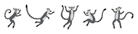 Cute funny ring-tailed lemurs jumps. Exotic Lemur catta. Set of vector illustrations in cartoon and...