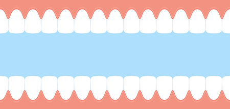 Teeth and gum. Open mouth inside view. Dental banner. Vector illustration in flat styleのイラスト素材