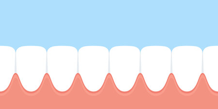 Row teeth and gum in mouth. Dental vector illustration in flat styleのイラスト素材