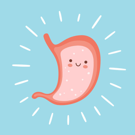 Smiling cute stomach character. Symbol of a healthy stomach. Vector flat cartoon illustration on white backgroundのイラスト素材