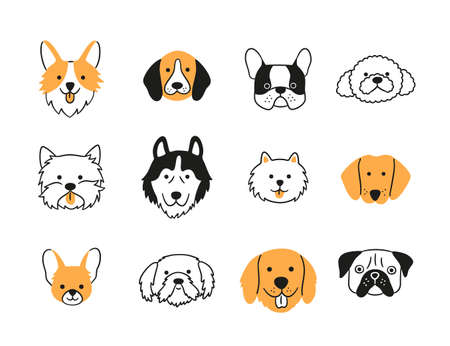 Set of heads of different breeds dogs. Corgi, Pug, Chihuahua, Terrier, Retriever, Dachshund, Poodle. Collection of dog faces Hand drawn isolated vector illustration in doodle style on white backgroundのイラスト素材