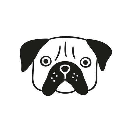 Cute pug face. Dog head icon. Hand drawn isolated vector illustration in doodle style on white backgroundのイラスト素材