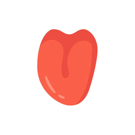 Human tongue in front. The tongue is like a sense organ. Part of the face. The organ of taste. Vector illustration isolated on white background in hand drawn style.のイラスト素材