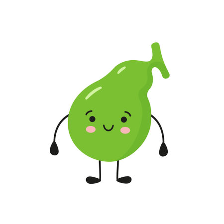 Happy healthy gallbladder. Vector isolated illustration on white background.のイラスト素材