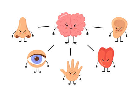 Brain and five human senses organs kawaii characters. Nose, ear, hand, tongue and eye. Cute sensory...