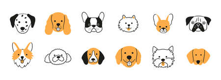 Faces of different breeds dogs set. Corgi, Beagle, Spitz Chihuahua, Terrier, Retriever, Spaniel, Poodle. Collection of doodle dog heads. Hand drawn vector illustration isolated on white background.のイラスト素材