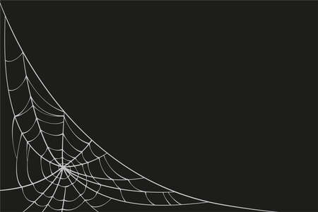 Scary spider web. White cobweb silhouette isolated on black background. Doodle spideweb angle. Hand drawn cob web for Halloween party. Vector illustration.のイラスト素材