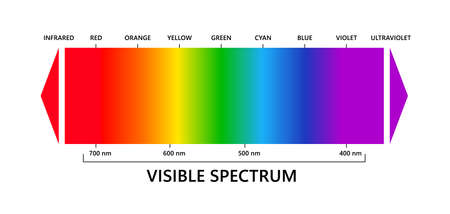 Visible light spectrum, infared and ultraviolet. Electromagnetic visible color spectrum for human eye. Vector gradient diagram with wavelength and colors. Educational illustration on white background.のイラスト素材