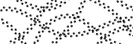 Dog paw print background. Cute cat pawprint texture. Pet foot trail pattern. Black dog step...