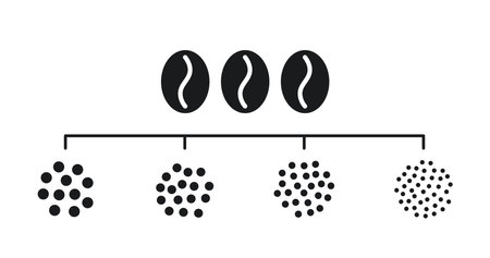 Coffee grain grind size. Ground coffee beans. Extra, fine, medium, coarse grinding degree icons. Vector illustration isolated on white background.のイラスト素材