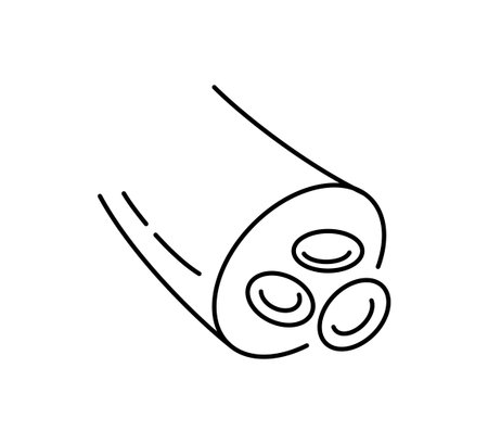 Blood vessel line icon. Human artery and vein symbol. Blood hemoglobin sign. Healthy heart system control. Healthy vessel icon. Vector illustration isolated on white background.のイラスト素材