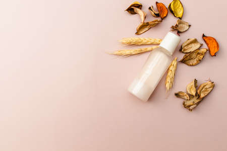 Container with skin care product for beauty morning routine. Organic cosmetic for facial and body care. Wheat and dried petals on pink background. Flat lay, banner, copy space.の写真素材