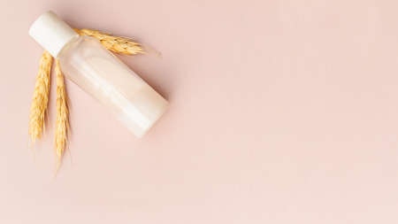 Container with skin care product for beauty morning routine. Organic cosmetic for facial and body care. Wheat on pink background. Flat lay, banner, copy space.の写真素材