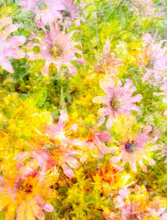 A picture of a simple spring flowerの写真素材