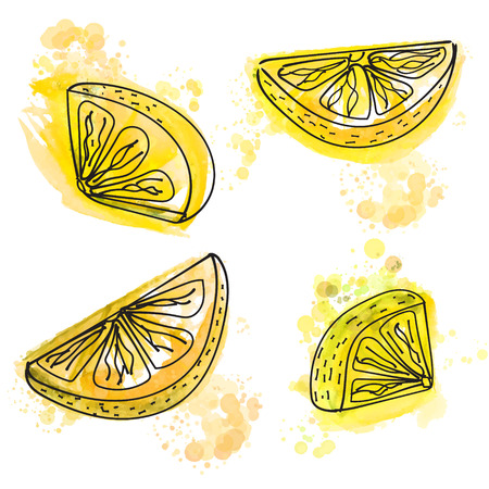 Hand painted slices of lemon with juicy yellow paint splashes. Vector illustration.のイラスト素材
