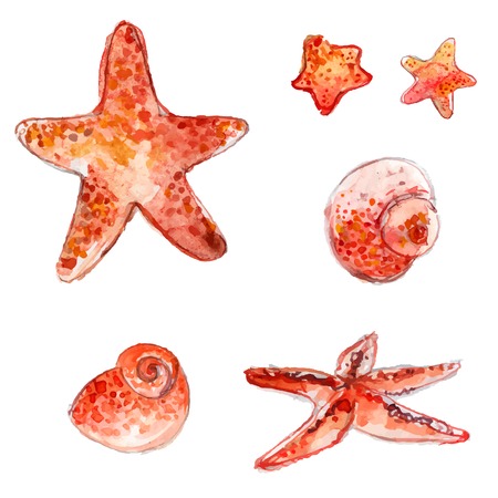 Hand drawn watercolor starfishes and sea shells. Artistic vector illustrations isolated on white background.のイラスト素材