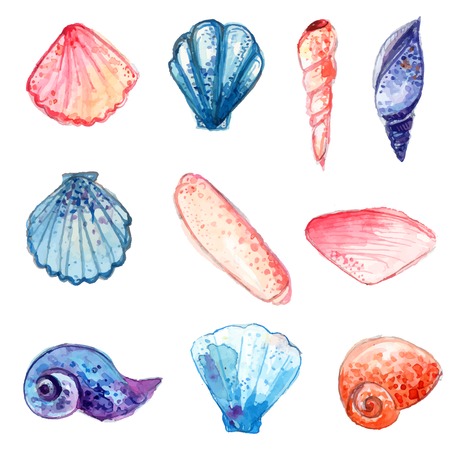 Hand drawn watercolor sea shells. Colorful vector illustrations isolated on white background.のイラスト素材