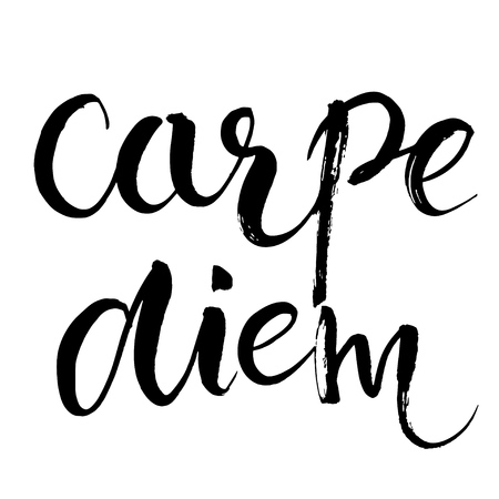 Carpe diem - latin phrase means Capture the moment. Inspirational quote expressive handwritten with brush, isolated on white background. Vector calligraphy art.のイラスト素材