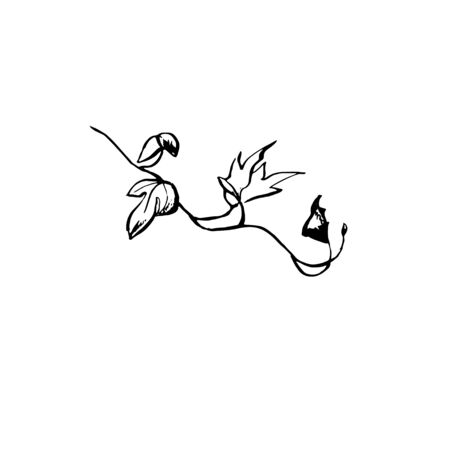 Ornate ink illustration of ivy branch. Tattoo design concept. Black stem outline drawing with veins isolated on white background.のイラスト素材