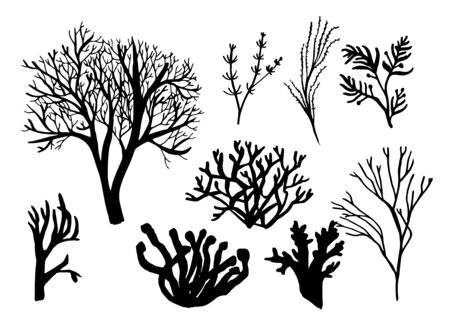 Seaweed, coral and algae set. Different silhouettes of underwater fauna. Black hand drawn vector illustrationのイラスト素材