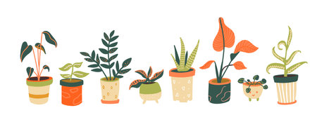 Houseplants collection. Different indoor plants in pots. Aloe, tropical trees, pilea. Trendy home decor, urban jungle horizontal banner.のイラスト素材