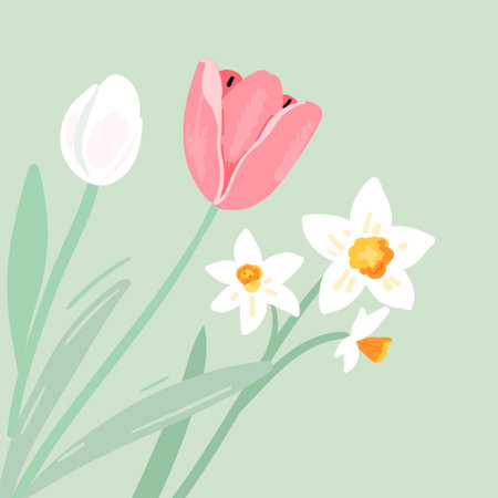 Spring flowers, tulips and daffodils on pastel blue background. Vector floral illustrationのイラスト素材