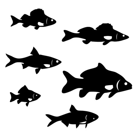 set of silhouettes of river fishのイラスト素材