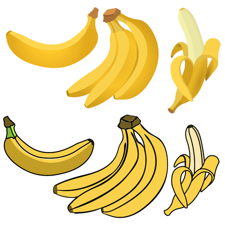 Set of Yellow Bananas. Single Banana , Peeled Banana, Bunch of Bananas.のイラスト素材