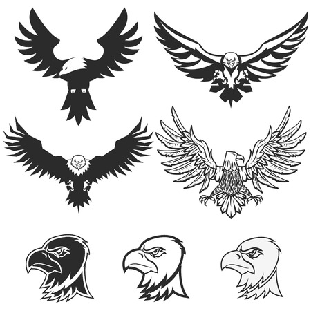 Set of eagles. Design elements, label, emblem, badge template.のイラスト素材