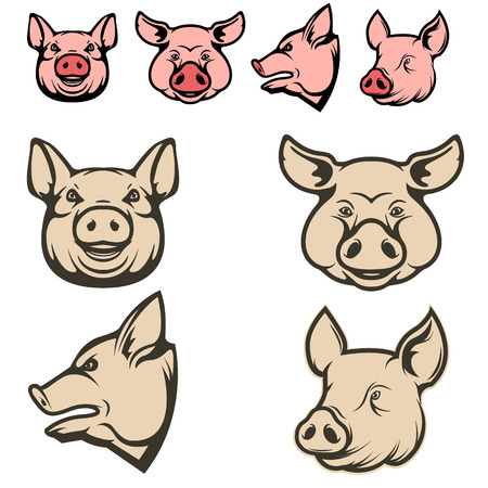 Set of pig heads. Design element for restaurant menu, poster, BBQ invitation card. Vector illustration.のイラスト素材