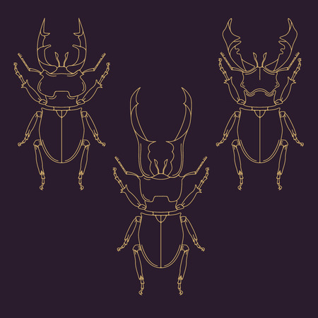 Set of horned beetles in line  style. Design elements in vector.のイラスト素材