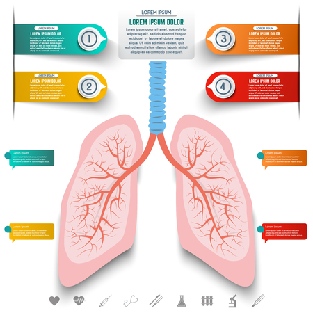 Abstract human lung from dots and lines. Set of colorful infographic elements and medicine icons. Design elements for websites, motion graphic, banners. Vector illustration.のイラスト素材