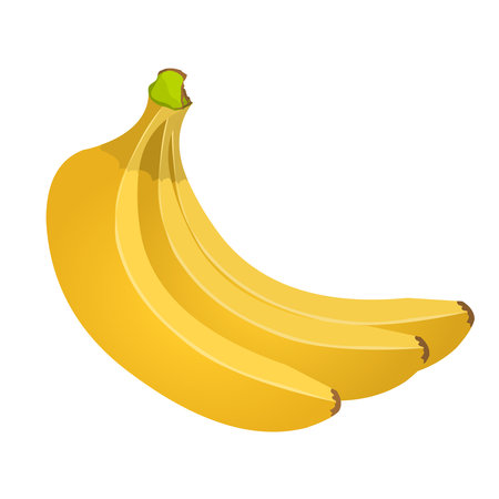 Banana batch isolated on white background. Tropical fruits. Vector illustration.のイラスト素材