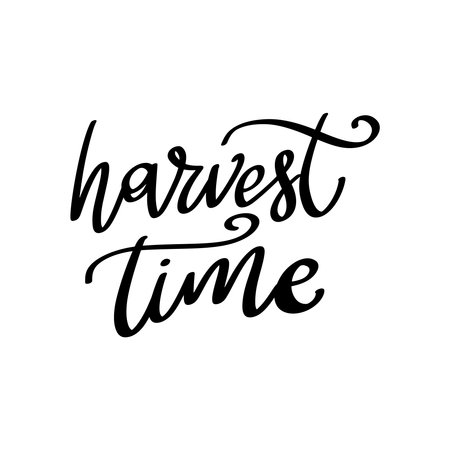 Harvest time. Hand Drawing lettering quote. Vector illustrationのイラスト素材