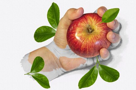 Illustration of an apple in a half drawn hand with leaves without an inscription on the textureの写真素材