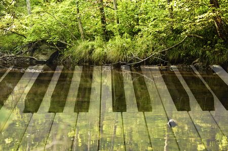 photo double exposure of piano keys and forest landscape with a lakeの写真素材