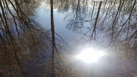 photo of spring puddle in the park with reflection of the sun and treesの写真素材