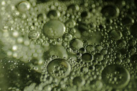 art photo abstract background of oil bubbles of different sizes on a green backgroundの写真素材